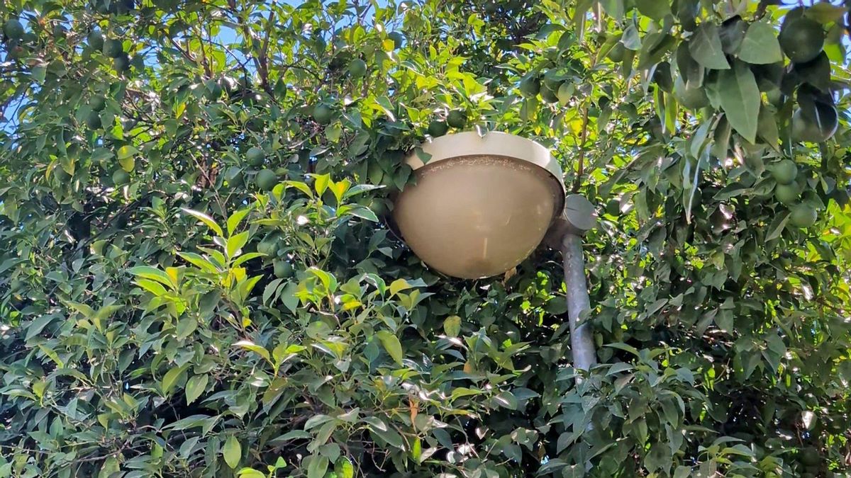 Hacemos Córdoba denuncia la “dejadez” del Ayuntamiento con el barrio de Electromecánicas