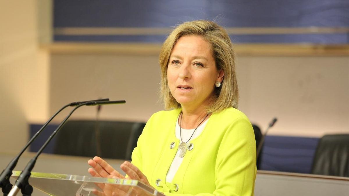 Oramas (CC), "convencida" de que habrá "reflexión" en los órganos del PSOE si Rajoy logra 170 apoyos en la investidura