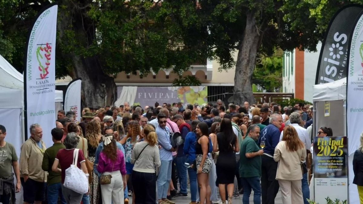 La XV Fivipal dinamiza Los Llanos de Aridane con una apuesta por la formación y el arte