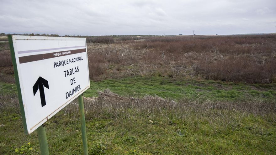 Proponen "resilvestrar" el río Guadiana y recuperar 80 hectáreas de las Tablas de Daimiel