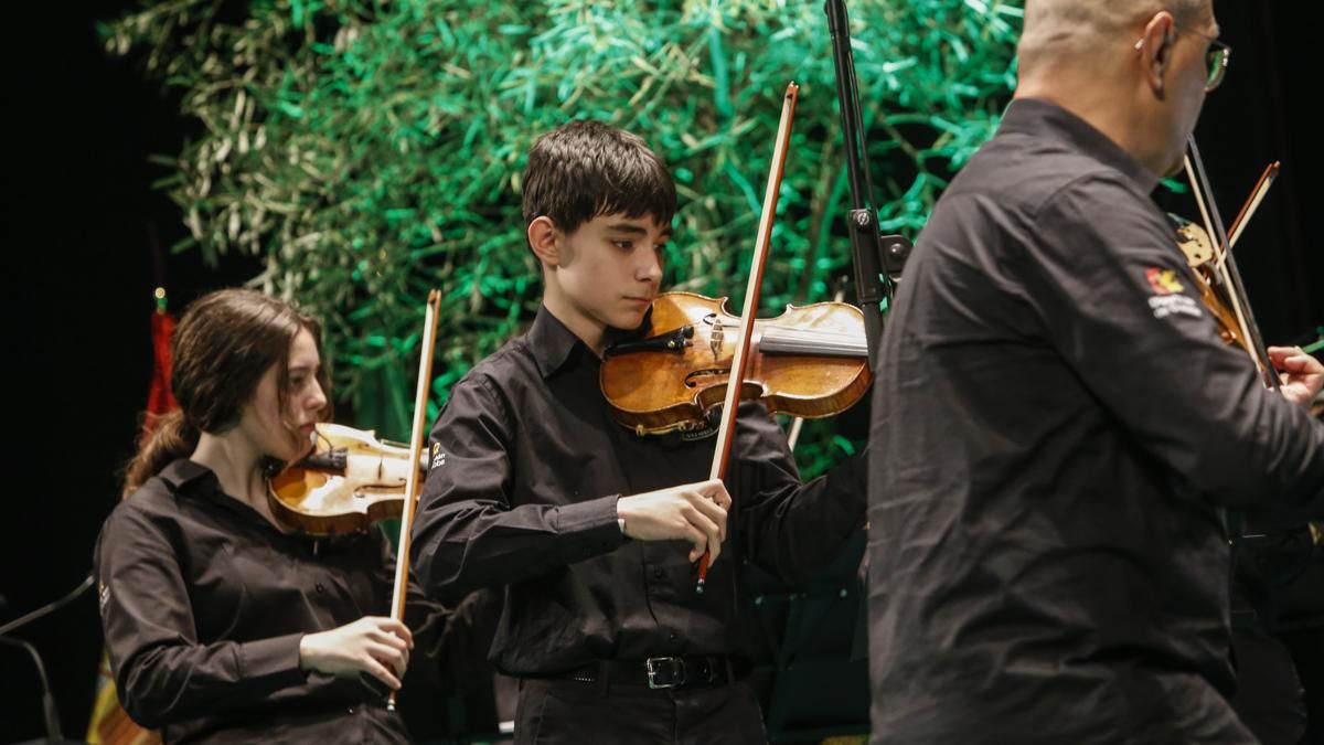 Banderas de Andalucía Córdoba 2026