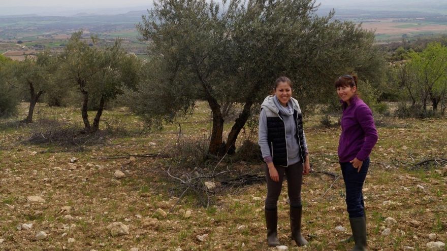 Elena Sánchez, ‘La Común’: “El olivar no es solo un cultivo, es un ecosistema y para que funcione hay que considerar a los seres vivos que lo integran”