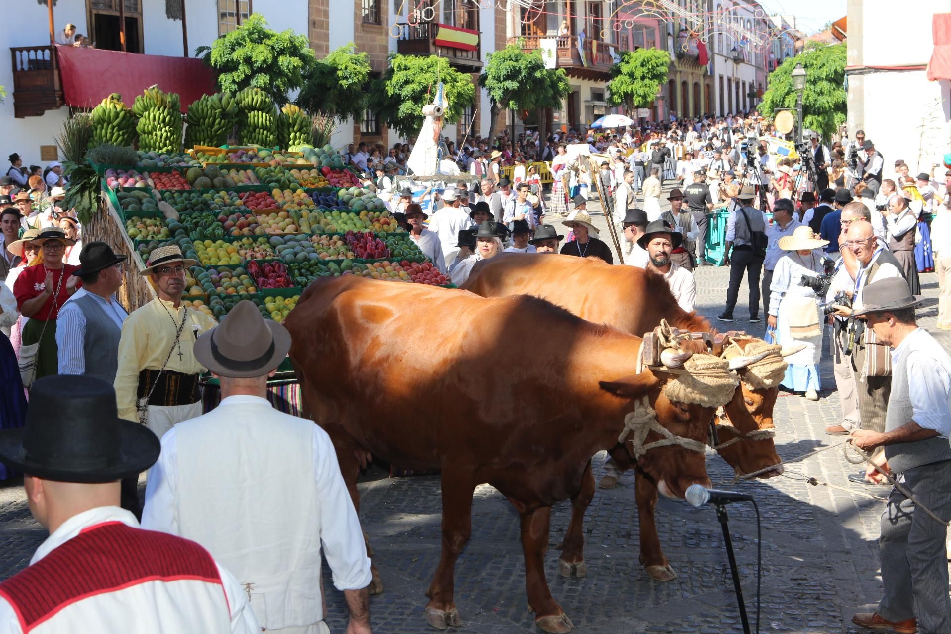 Ofrenda-Romería de las Fiestas del Pino 2016 (ALEJANDRO RAMOS)