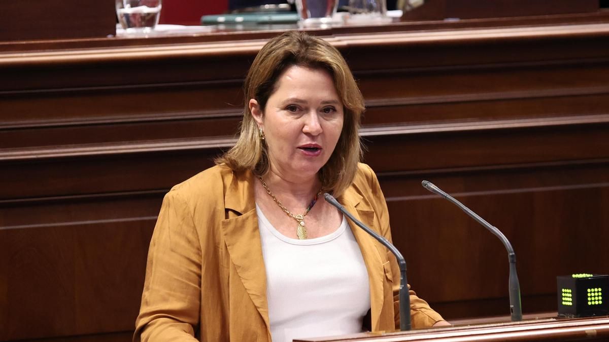 El PSOE lleva a los tribunales la negativa del Gobierno canario a informar sobre las ayudas del volcán de La Palma