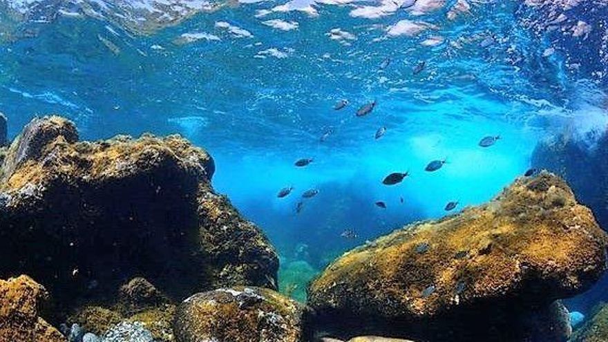 Pescadores herreños celebran un cuarto de siglo de la Reserva Marina
