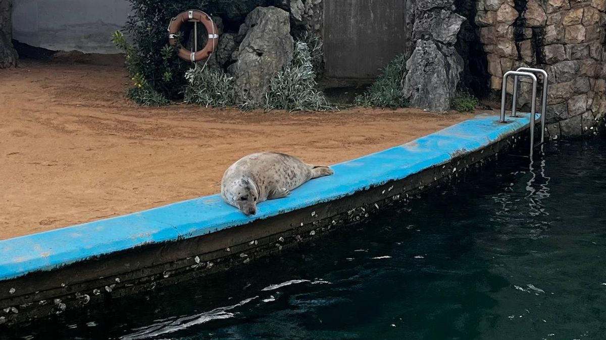 De minizoo a "parque marino" de La Magdalena: un polémico recinto que el Ayuntamiento de Santander se niega a cerrar