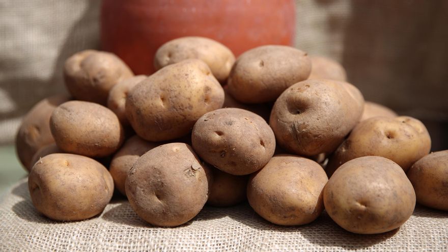 Papas, este viernes en Valsequillo (Gran Canaria)