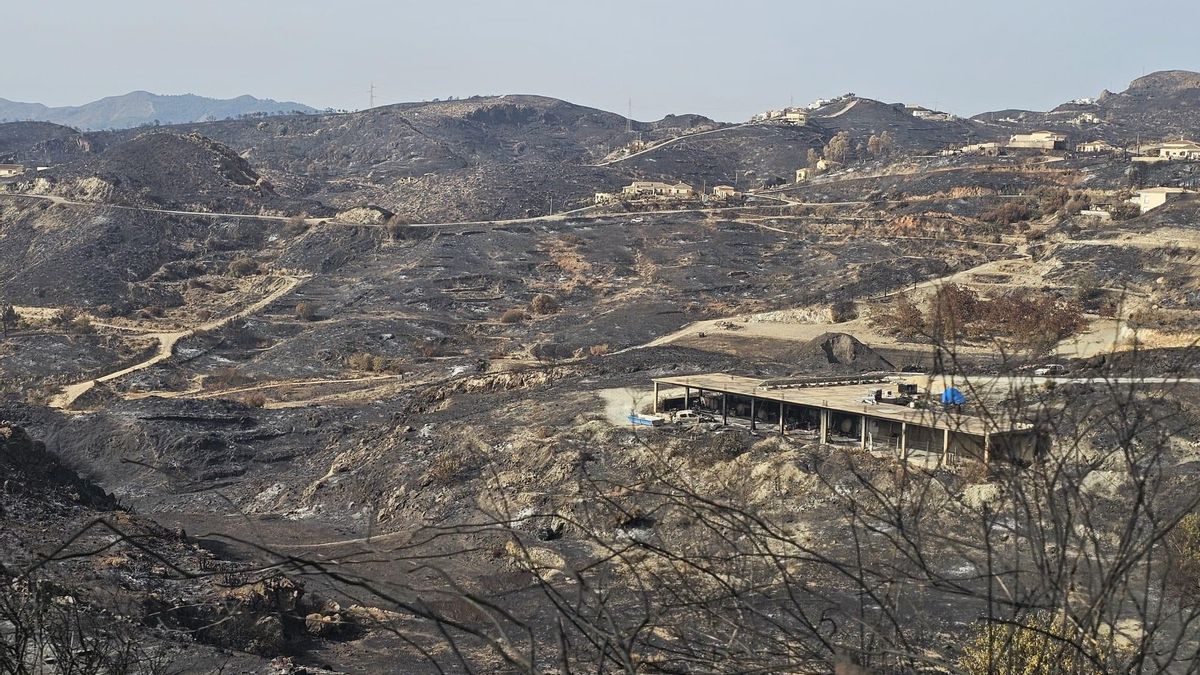 De los megaincendios a los incendios globales
