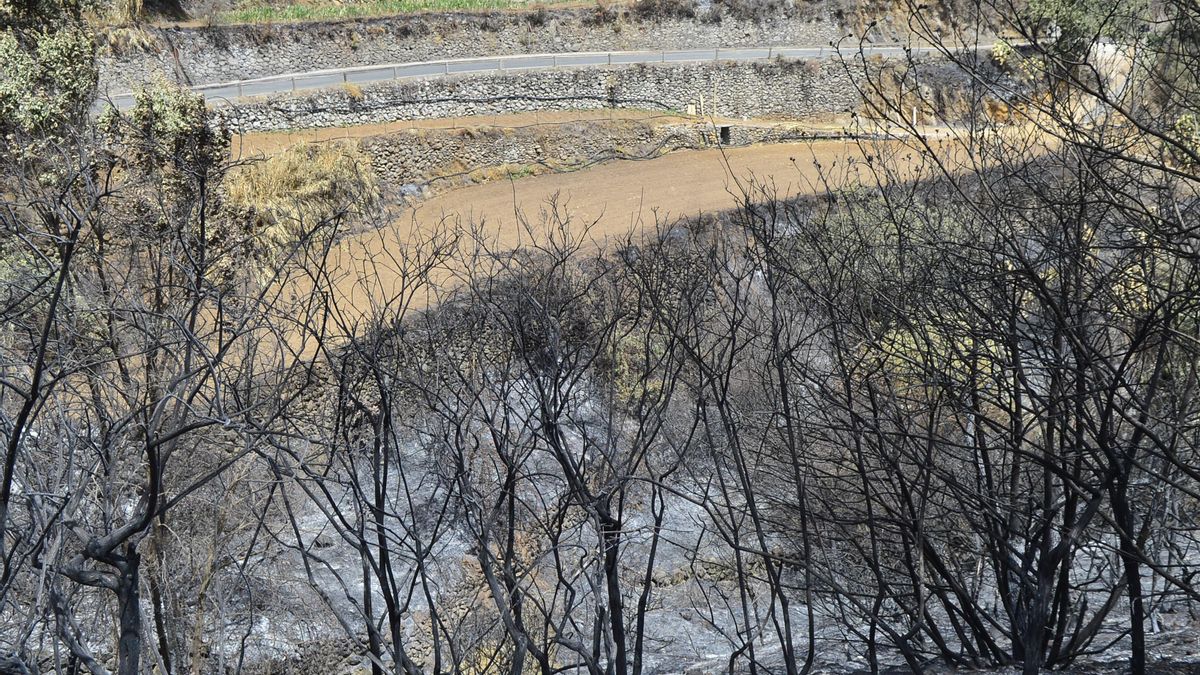 FOTOGALERÍA | Así ha quedado la cumbre de Gran Canaria tras el incendio
