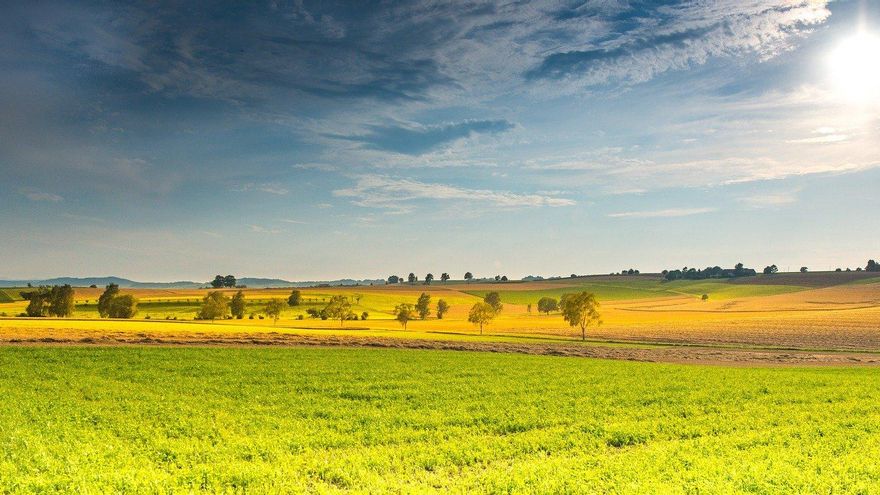 El Consejo de Ministros aprobará la autorización del uso de terrenos de barbecho para la siembra de cultivos