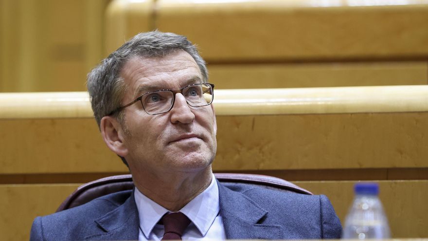 El líder del PP, Alberto Núñez Feijoo, en una imagen de archivo. EFE/ Kiko Huesca