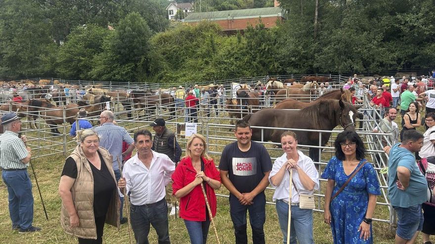 Más de 1.300 reses de 71 ganaderías participan en la concentración y exposición de ganado en Ampuero