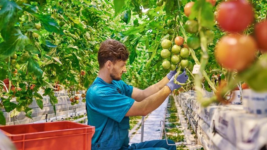 Extremadura da luz verde a la convocatoria de 57 millones en ayudas para jóvenes agricultores hasta 2026