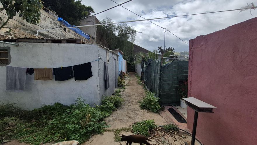 El poderoso grupo platanero Félix Santiago desahucia a casi cien personas en el norte de Gran Canaria