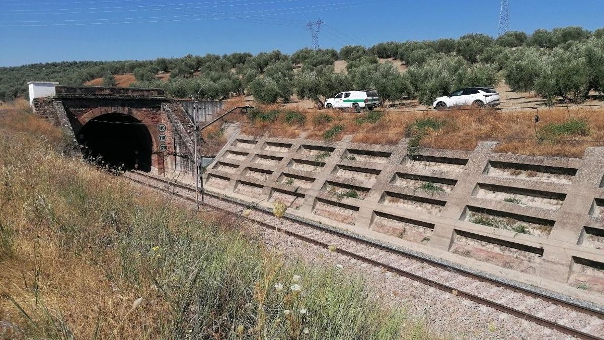 El Ministerio abordará en 2026 la autovía ferroviaria del Puerto de Santander a la Meseta y las inversiones
