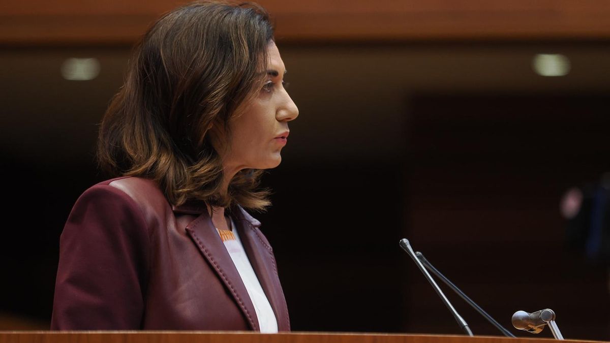 UPL exige a Carlos Martínez que "deje de burlarse" de la identidad leonesa