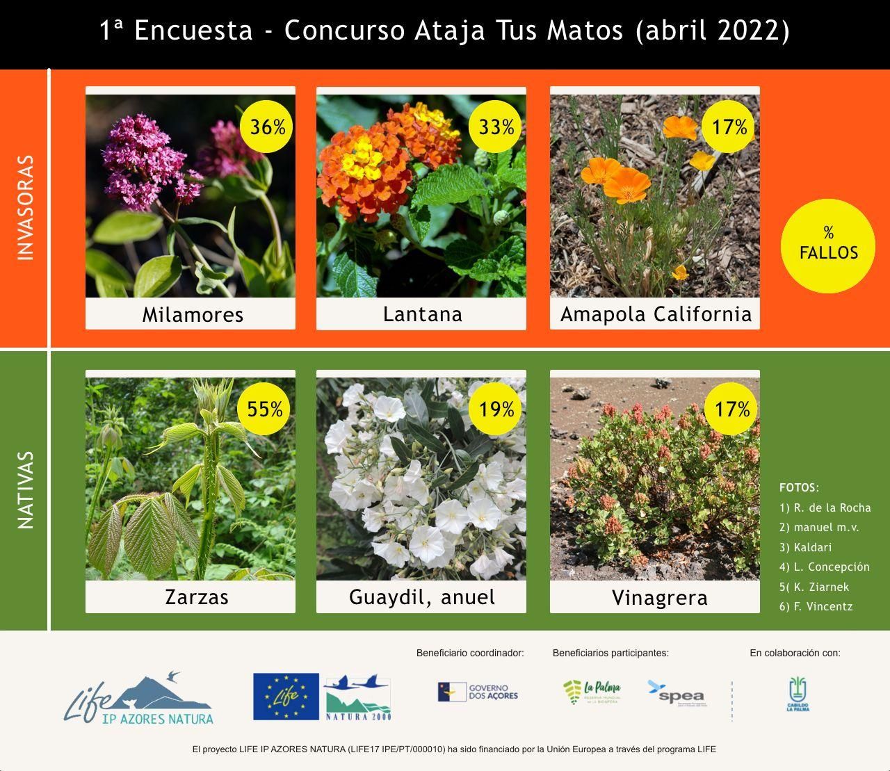 'Primera Encuesta-Concurso Ataja Tus Matos'.