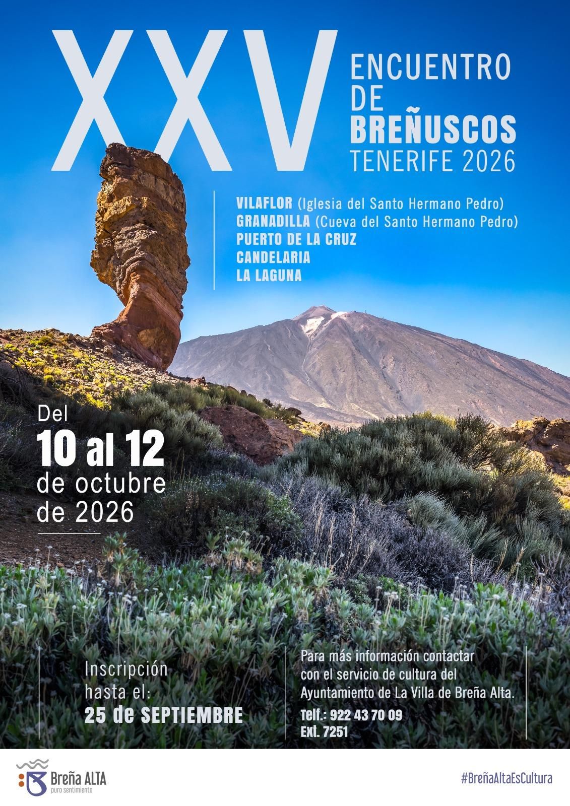 Cartel de  XXV Encuentro de Breñuscos en Tenerife.