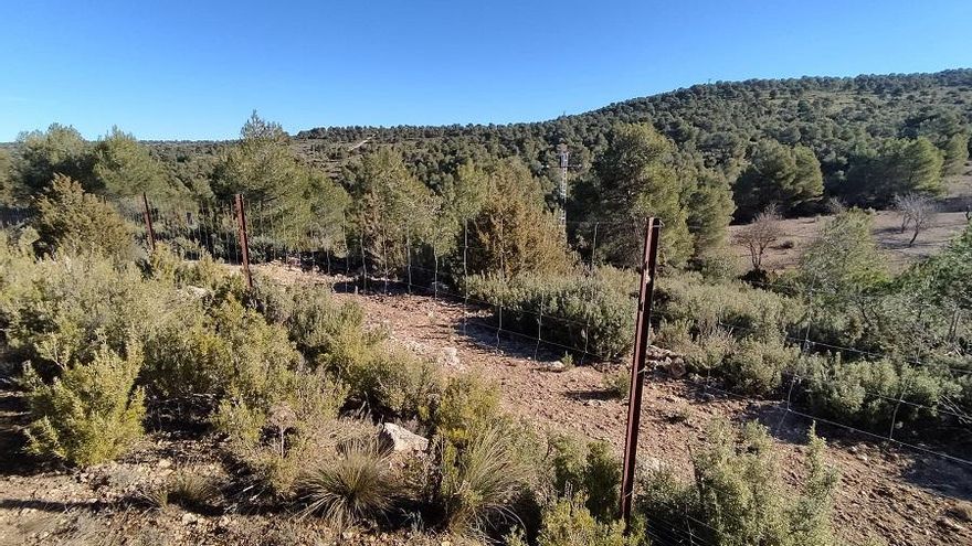 La nueva plataforma ciudadana que lucha por la conservación de las vías pecuarias y su trazado original