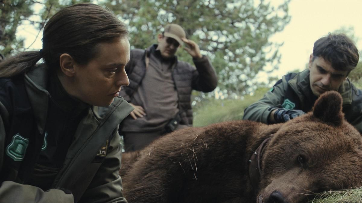 El oso Cachou de la ficción en 'Matar a un oso'