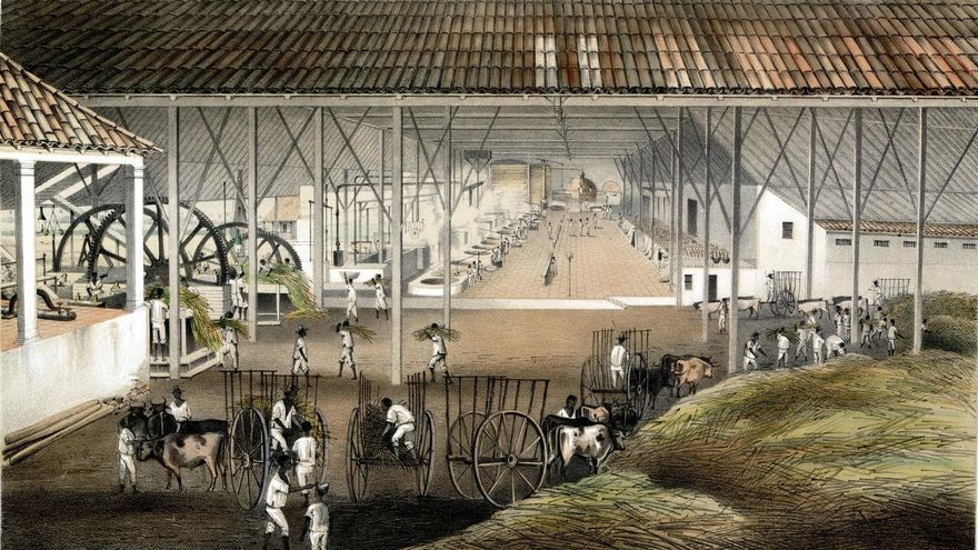 Michael Zeuske, historiador: "La economía del imperio español funcionó con los brazos de los esclavos"