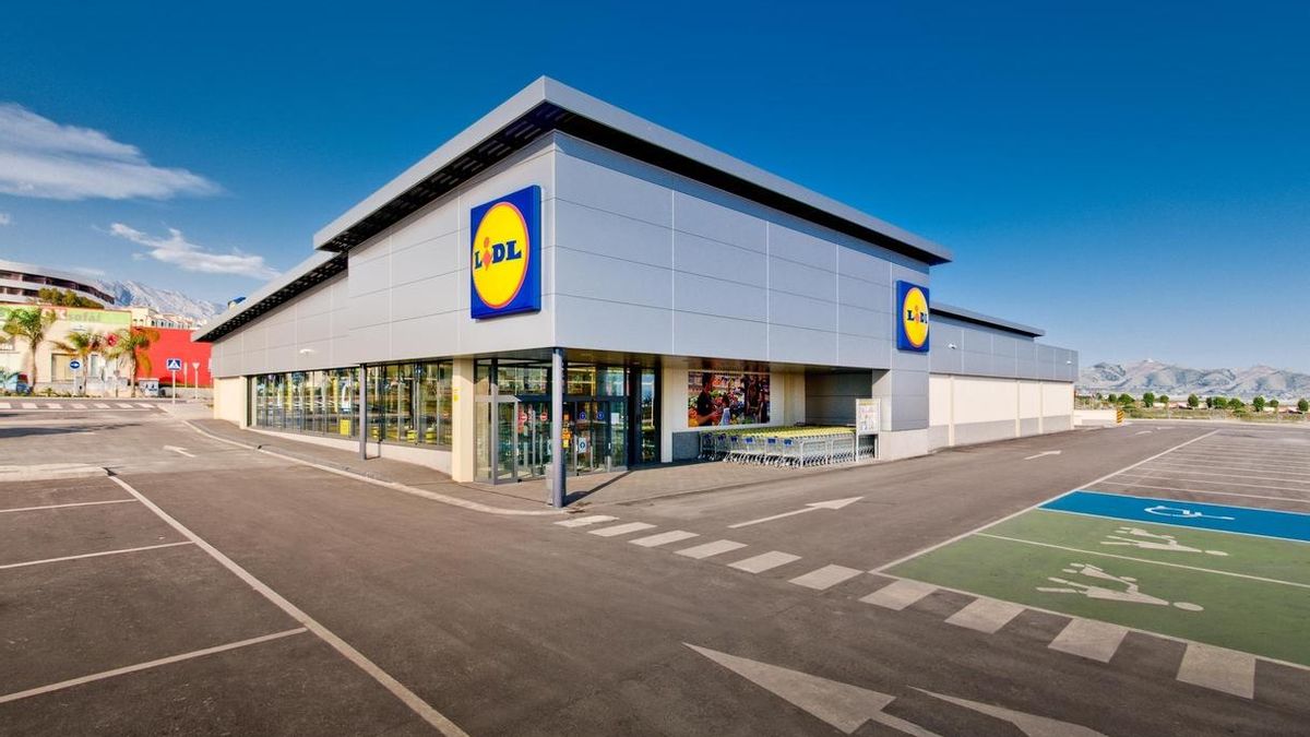 El Grupo Dia y Lidl, los que más crecen en 2015 en la distribución, donde Mercadona mantiene su liderazgo