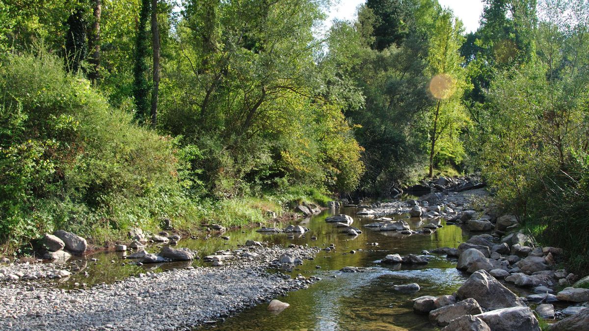 A lo largo del camino, el sendero cruza puentes, atraviesa pequeñas cascadas y bordea pozas de agua cristalina