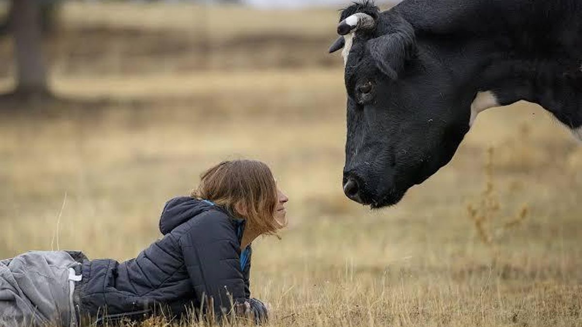 Llamamiento urgente para salvar del fuego a 200 animales explotados, salvados y ahora acosados por las llamas