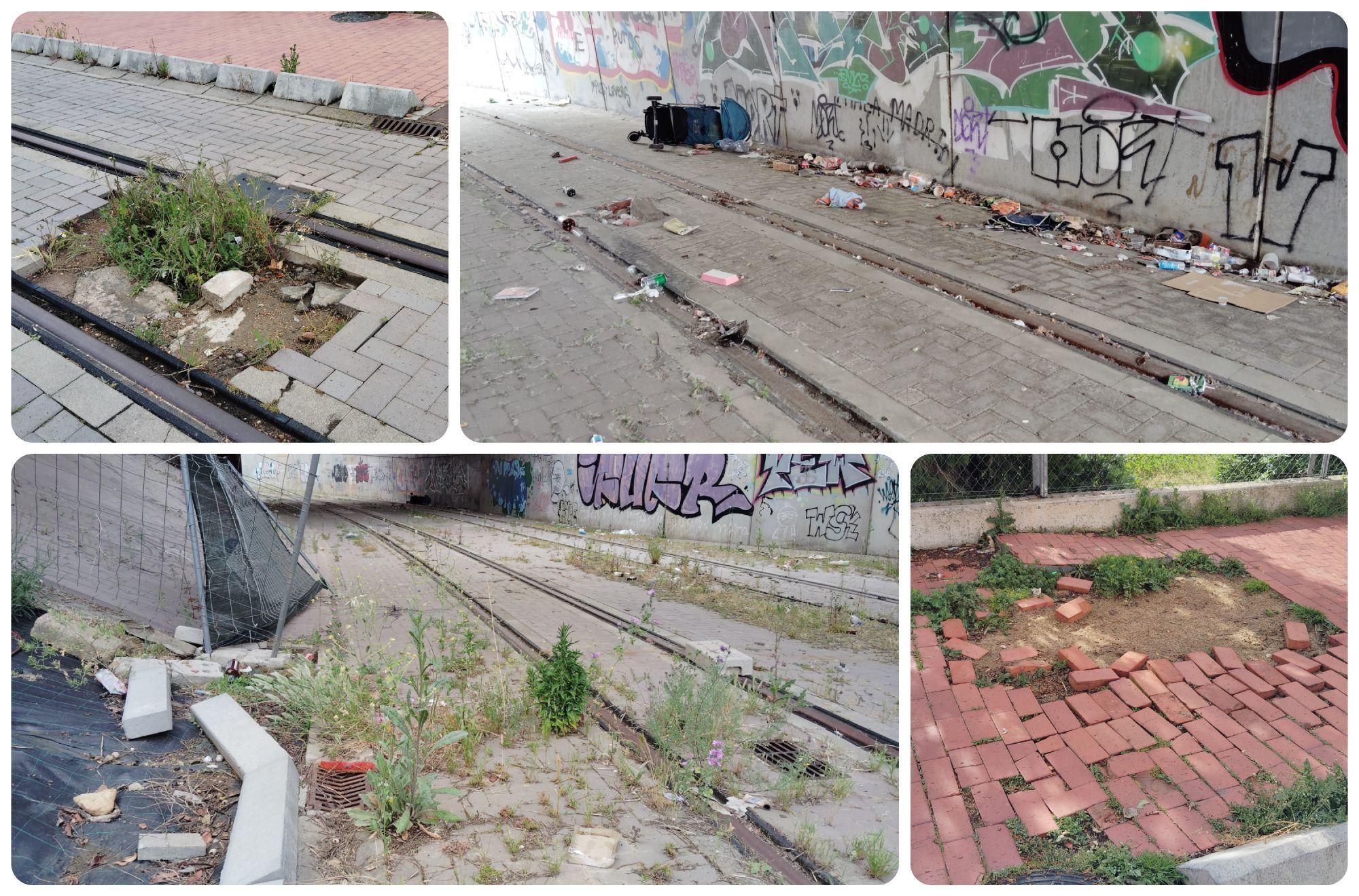 Basura, maleza y pavimento reventado en el trayecto entre Matallana y La Asunción