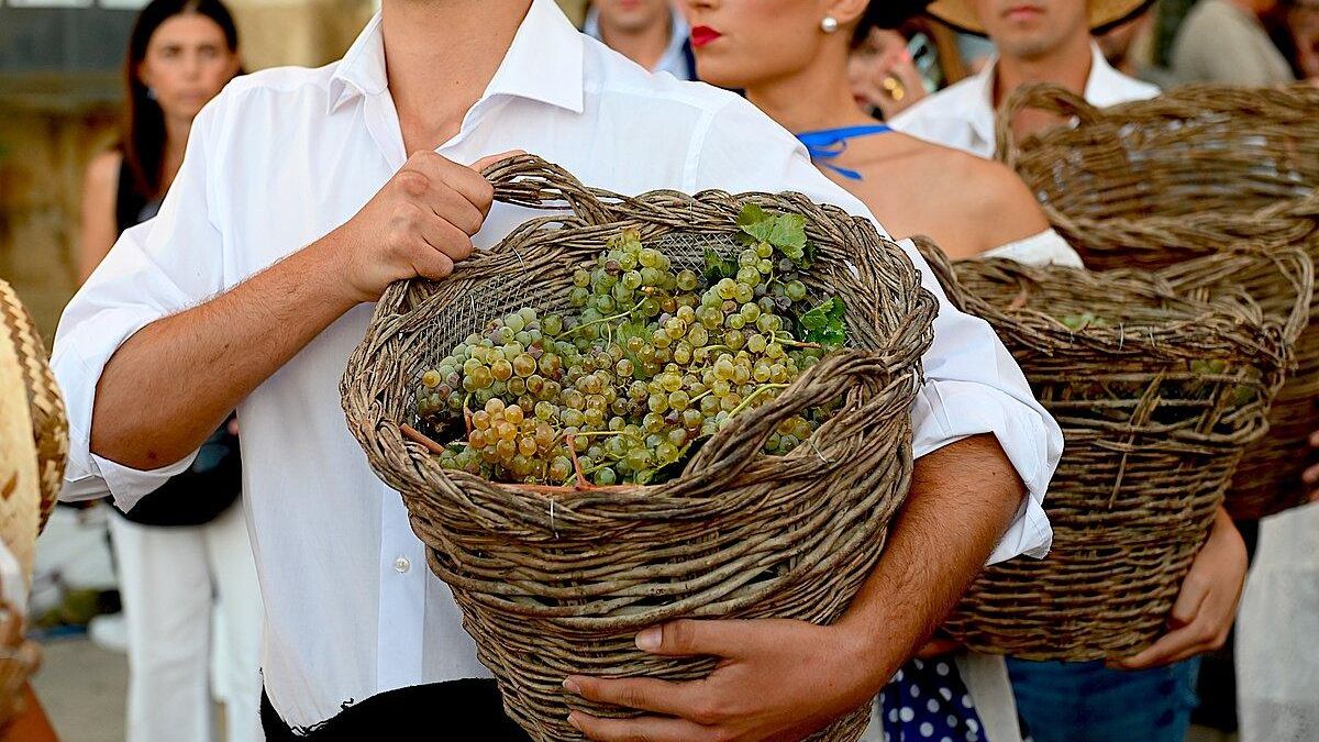 Pisa da la uva en Jerez de la Frontera.