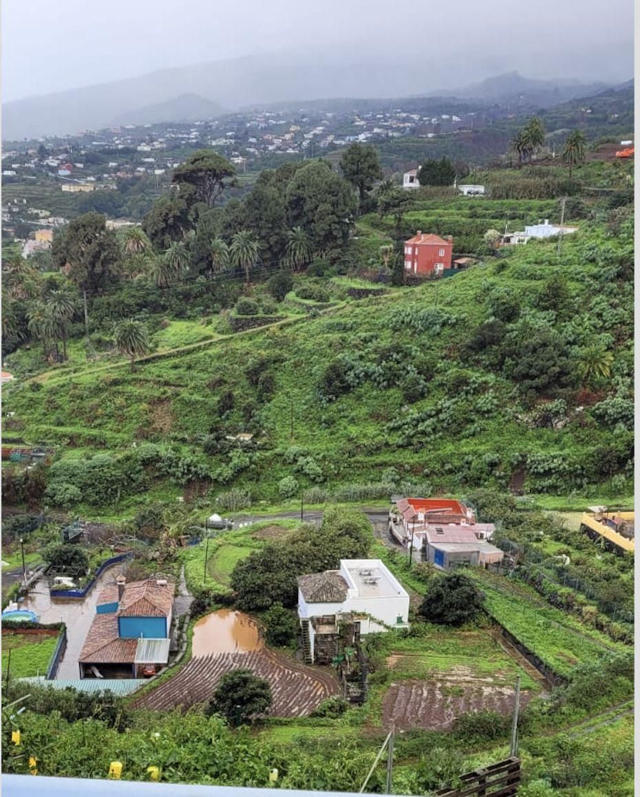 El campo  palmero ha recibido la lluvia como un  tesoro hídrico. En la imagen, municipio de Breña Alta, este jueves.