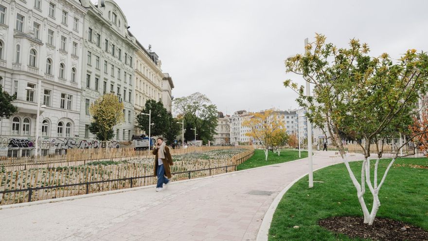 Por qué aparcar en Viena es misión imposible