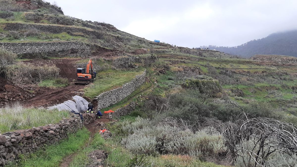 Operarios y una miniexcavadora en las tareas de mejora en los bancales.