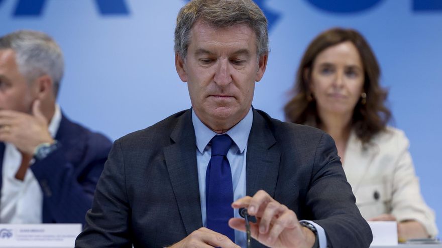 El presidente del Partido Popular, Alberto Núñez Feijóo.