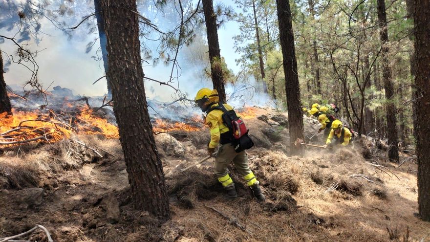 About one hundred troops are working on the operation to put out the reactivations of the Tenerife fire