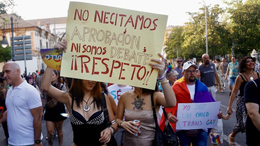 El PSOE pide al Ayuntamiento llevar a la Fiscalía los saludos nazis y abucheos del desfile del Orgullo en Córdoba