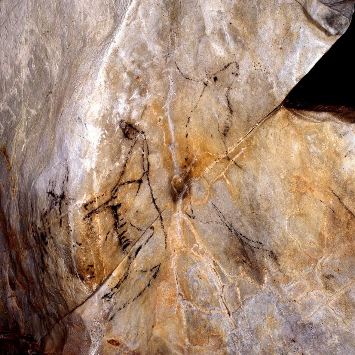 Pinturas rupestres de animales en la Cueva de Las Monedas.