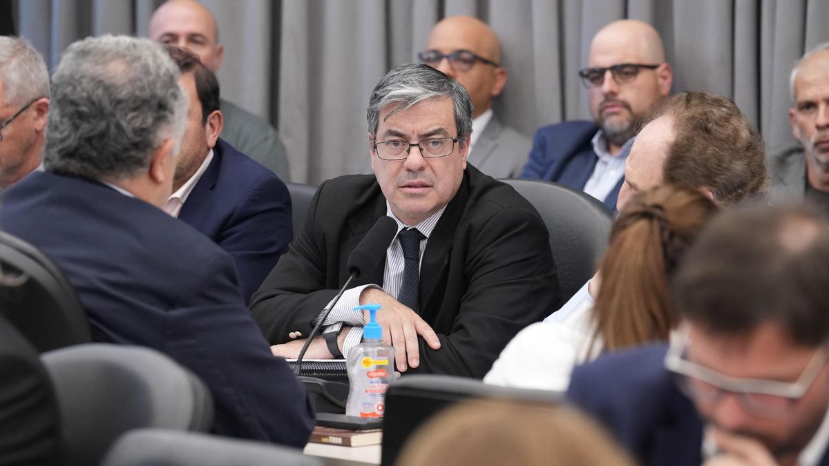 German Martínez en la comisión de Presupuesto