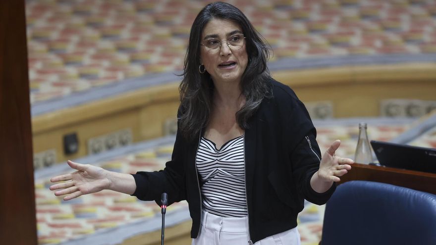 La portavoz de Más Madrid, Manuela Bergerot, interviene durante el pleno de la Asamblea regional este jueves en Madrid. EFE/ Kiko Huesca