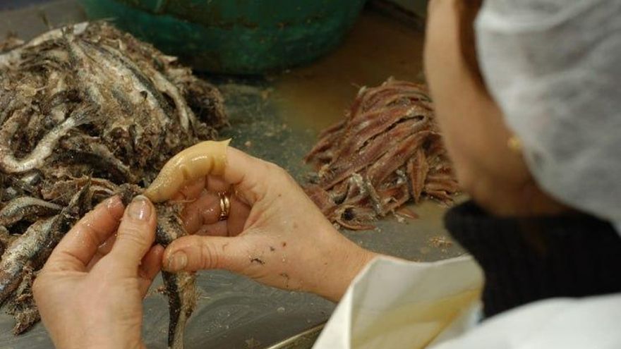 Solo un 8% de las actuaciones de la Inspección de Trabajo en Euskadi en 2022 conllevaron una multa