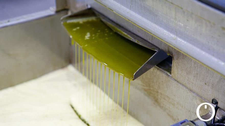 El aceite de oliva virgen extra alcanza un precio histórico de ocho euros por kilo en origen