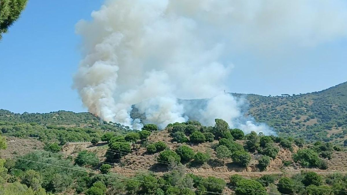 Un incendio en Tiana (Barcelona) obliga a los Bomberos a confinar cuatro municipios