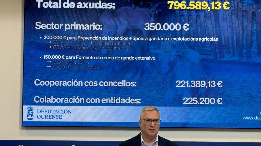 El presidente del PP de Ourense admite que "puede haber cuestiones políticas" en la marcha de todos los concejales de Verín