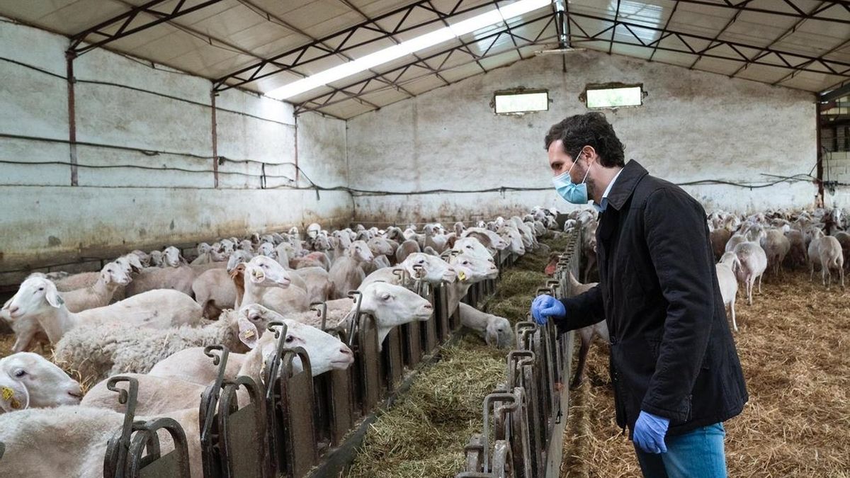 Casado acusa a Sánchez de dedicar más dinero a encuestas del CIS que a estudios epidemiológicos sobre contagios