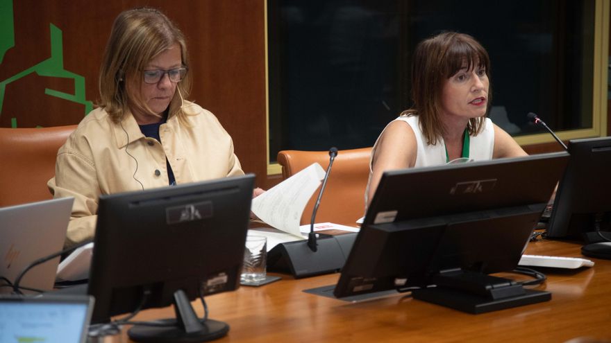 Los ayuntamientos vascos quieren "más recursos" para vivienda y no sólo "regalar" suelo al Gobierno vasco