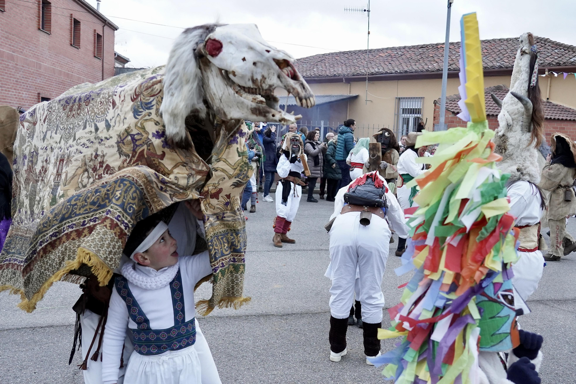 Toros y guirrios del antruejo en Velilla de la Reina