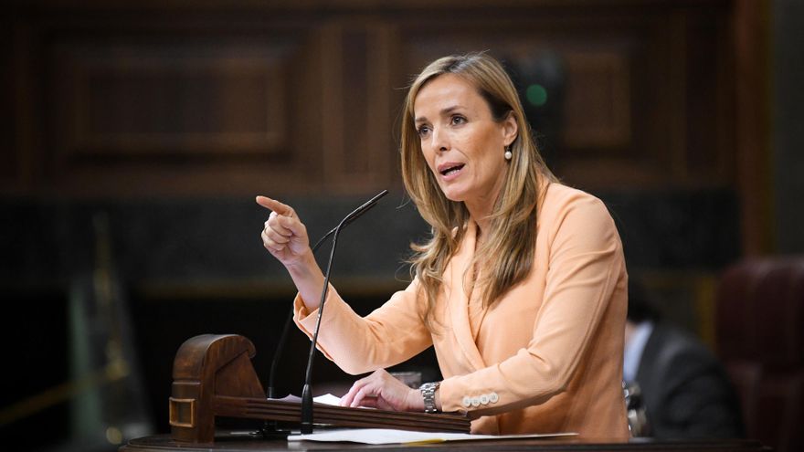 La diputada del PP, Carmen Navarro