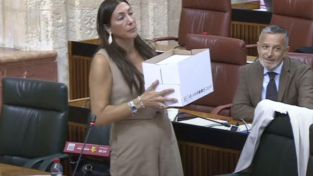 Choque en el Parlamento andaluz tras la denuncia de IU sobre la "pérdida" de expedientes de Dependencia