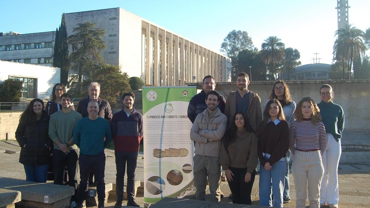 Un vendaje creado en Córdoba con paja y un hongo acelera la cicatrización y combate infecciones