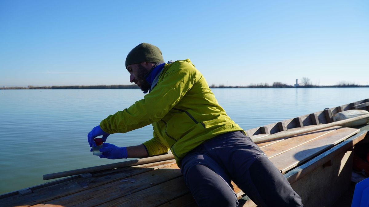 La calidad del agua un año después de la dana: la CHJ confirma que los acuíferos mantienen su nivel biológico